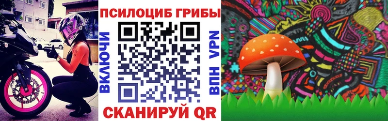 Псилоцибиновые грибы прущие грибы  Нюрба 